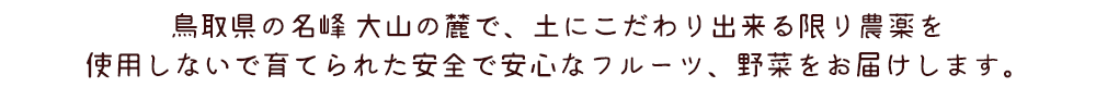 鳥取県の名峰 大山の麓で、土にこだわり出来る限り農薬を